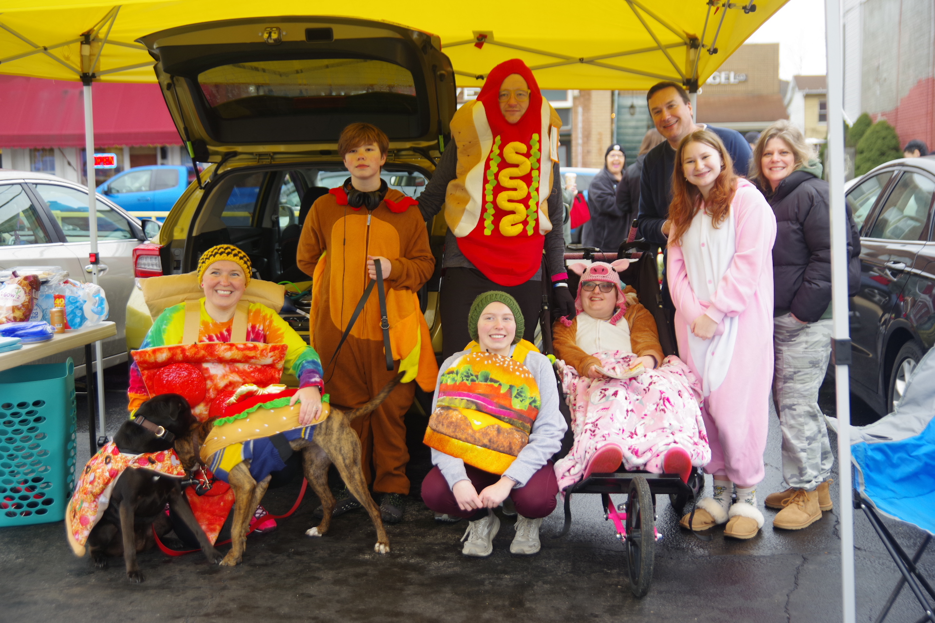 53503004429_556ff0481a_o